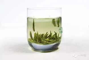蒙顶石花怎么样,好喝吗?