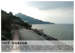 连云港有哪些值得一去的景点?