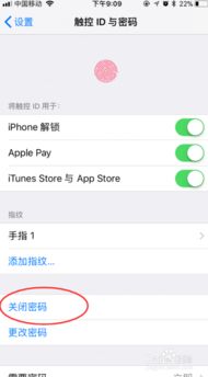 苹果手机怎么设置密码
