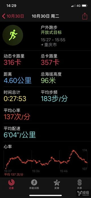 海拔的意思