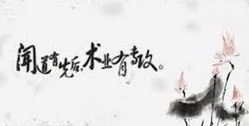“闻道有先后 术业有专攻”的意思