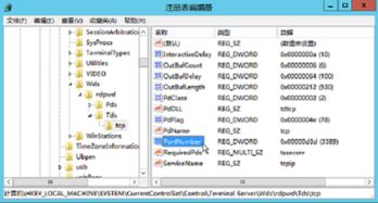远程端口
