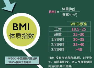 bmi指数正常范围