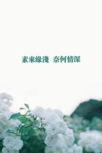 一向什么意思?