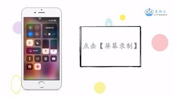 苹果手机录屏在哪
