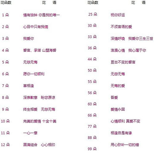 送花朵数的含义