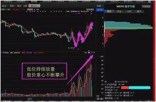 股票成交:成交的基本原则有哪些