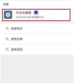 开发者选项怎么打开
