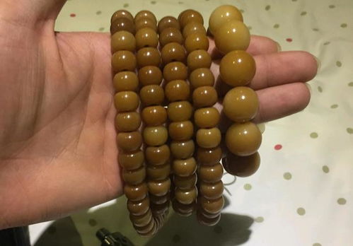 菩提根是什么材质 菩提根是啥材质