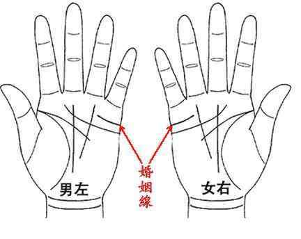 手相可信吗
