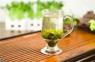 苦丁茶
