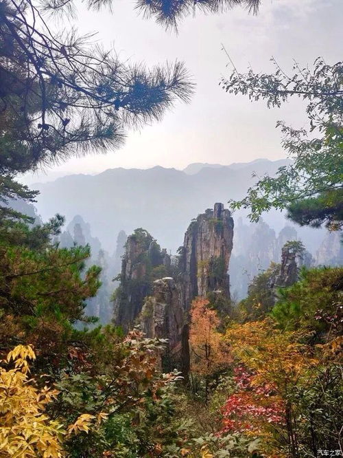 《阿凡达》取景地张家界取景地的山叫什么?
