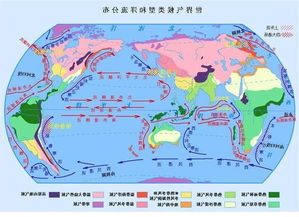 我国气候分布图类型有哪些?