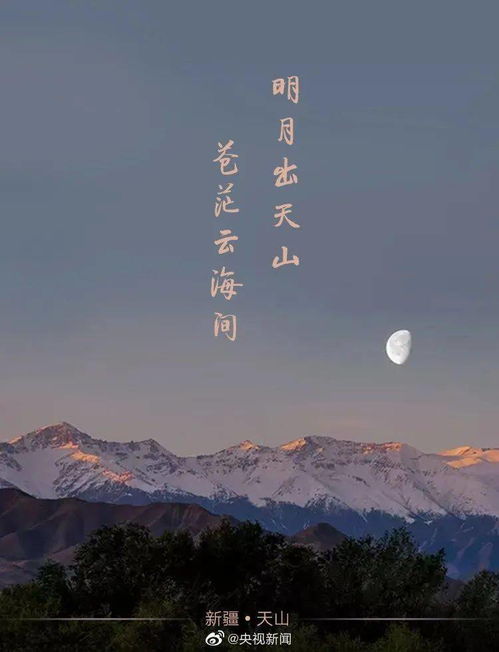 明月和依视路差别大么
