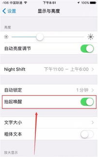 苹果手机抬起唤醒怎么关闭