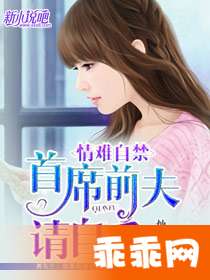 顾彦深申子矜是哪个小说的主人公