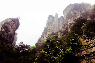 阿凡达张家界取景地
