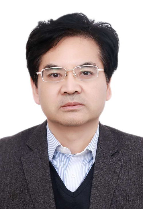 专业特长
