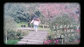 路上行人匆匆过是什么歌
