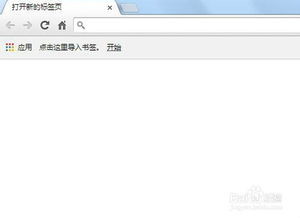 谷歌浏览器设置首页的步骤有哪些?
