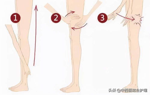“手肘”指哪里?