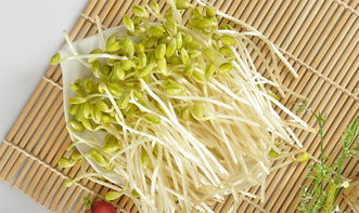 豆芽生长过程图片
