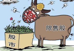 “限售股”是什么意思?
