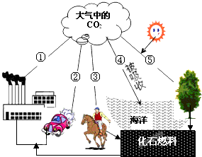 温室气体是指什么

