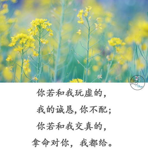 善字的笔划顺序