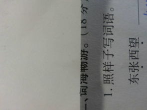 东张西望含反义词

