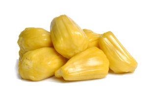 菠萝蜜的核能吃吗?