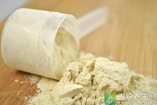 蛋白粉什么用啊?