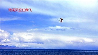海阔天空的意思