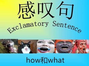 how和what引导的感叹句的区别
