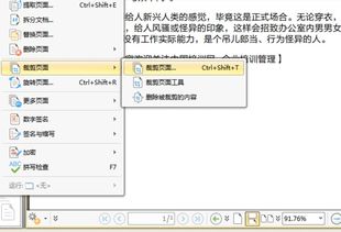 pdf如何截取其中几页
