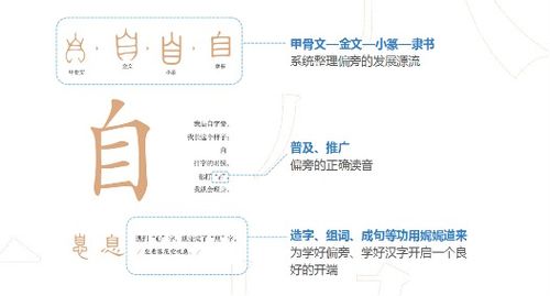 专的部首是什么偏旁