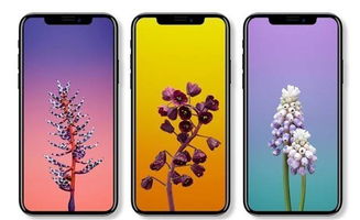 iPhonex用什么指纹解锁