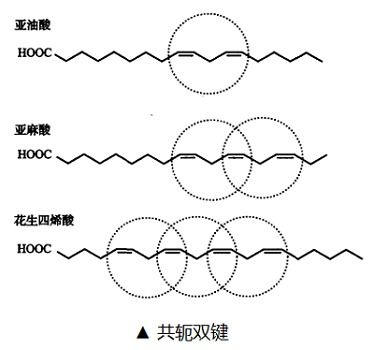 反式脂肪是什么意思