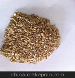 大麦饲料的优点有哪些?