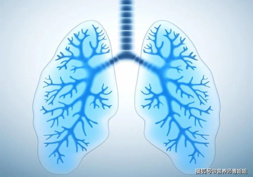 人的肺部在哪边图片，人的肺在哪个部位图片