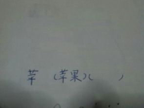 馫龘飝鱻灥麤靐飍朤淼馫譶龘组词，萄怎么组词2个词