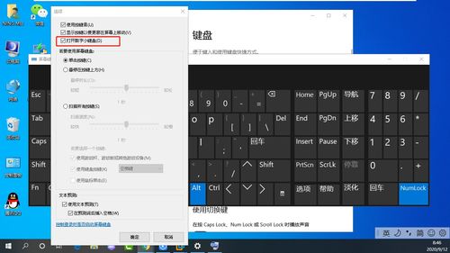 笔记本电脑打字为什么按字母会出现数字呢
