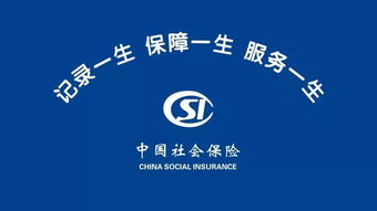 城乡医疗保险参保地是什么意思，最后参保地是什么意思