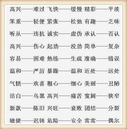 含近义词的四字成语