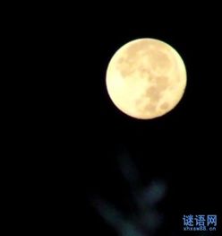 与月亮有关的思乡诗句