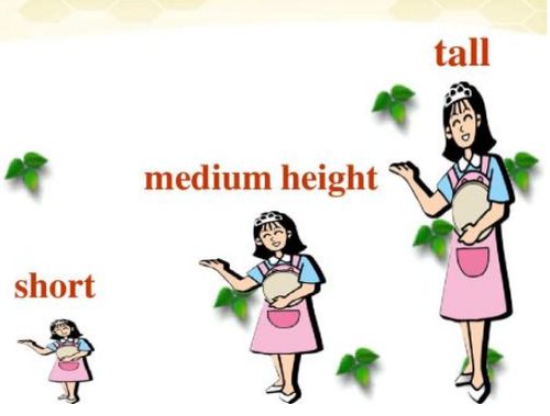 矮的英语怎么读 矮的英语如何读