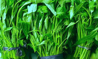 蕹菜的蕹字怎么念?