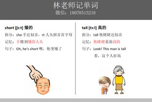 矮的英语造句，矮的英语反义词