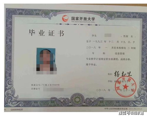 高职和大专哪个含金量高