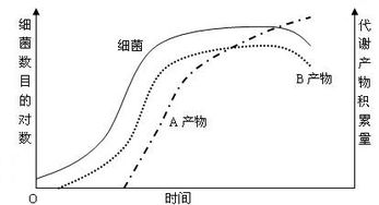 什么是细菌生长曲线,各个阶段有怎样的特点